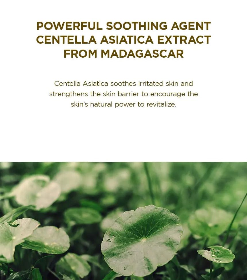 SKIN1004 - Espuma de Ampolla de Centella Madagascar Centella Ampoule Foam - True - Yeppo